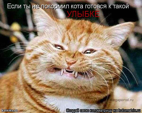 Котоматрица: Если ты не покормил кота готовся к такой  УЛЫБКЕ