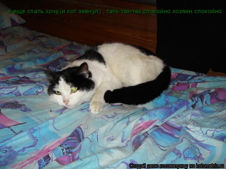 Котоматрица: я еще спать хочу,(и кот зевнул) , татк-так-так,спокойно хозяин спокойно