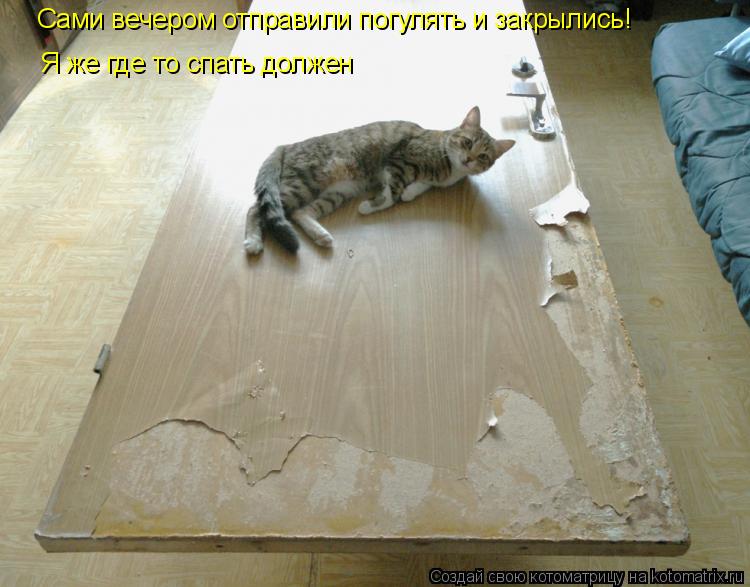 Котоматрица: Сами вечером отправили погулять и закрылись! Я же где то спать должен