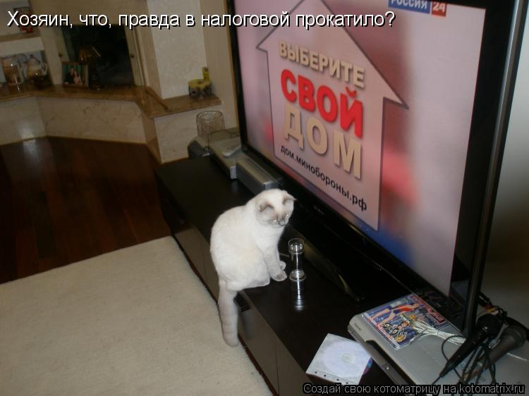 Котоматрица: Хозяин, что, правда в налоговой прокатило?