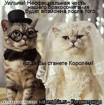 Котоматрица: Уильям! Неофициальная часть  нашего бракосочетания  будет возможна после того, когда Вы станете Королём!