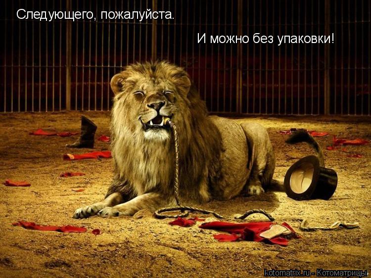 Котоматрица: Следующего, пожалуйста. И можно без упаковки!