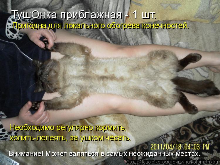 Котоматрица: ТушОнка приблажная - 1 шт. Пригодна для локального обогрева конечностей. Необходимо регулярно кормить,  холить-лелеять, за ушком чесать. Вни