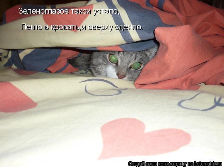 Котоматрица: Зеленоглазое такси устало, Легло в кровать,и сверху одеяло.
