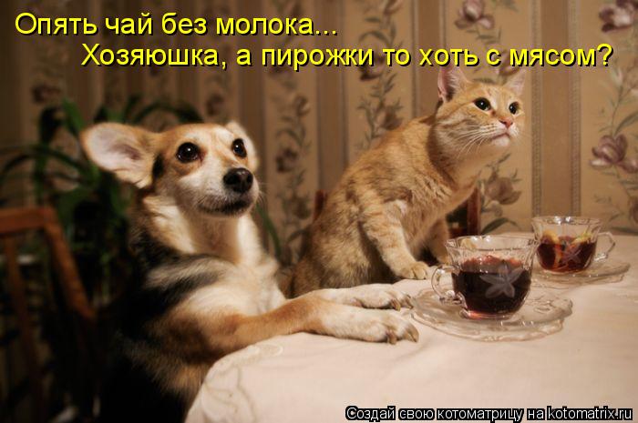 Опять чай без молока... Хозяюшка, а пирожки то хоть с мясом?... Котоматрица: Опять чай без молока... Хозяюшка, а пирожки то хоть с мясом?
