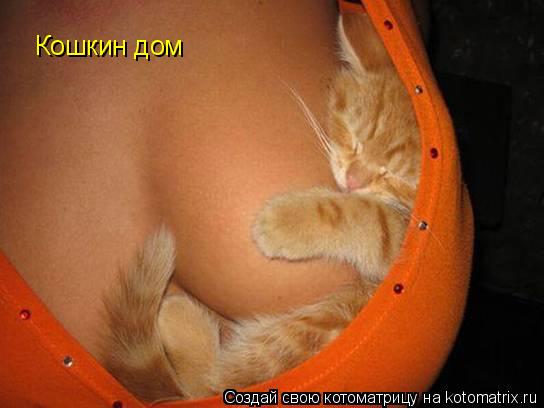 Котоматрица: Кошкин дом