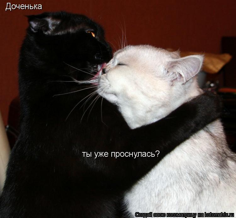Котоматрица: Доченька ты уже проснулась?