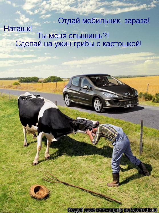 Котоматрица: Отдай мобильник, зараза! Наташк! Ты меня слышишь?! Сделай на ужин грибы с картошкой!