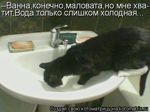 Котоматрица: --Ванна,конечно,маловата,но мне хва- тит.Вода только слишком холодная...