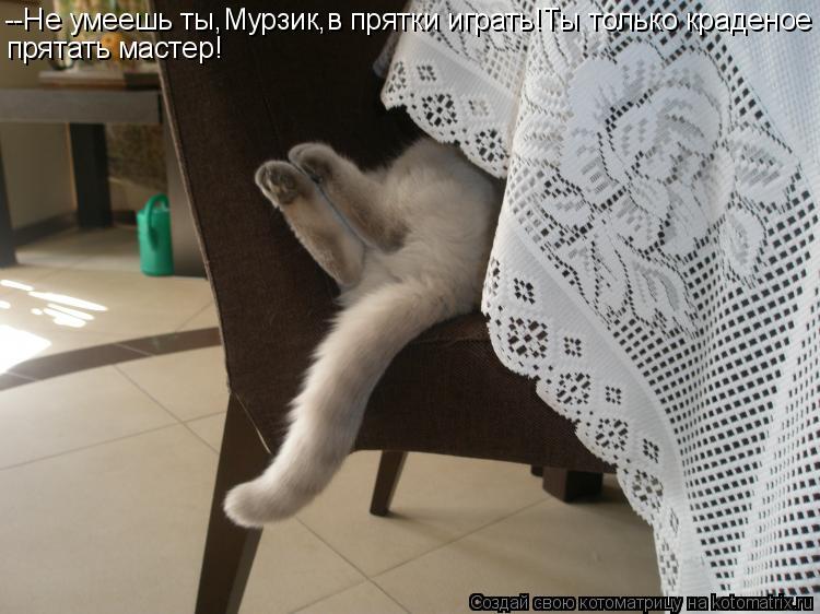 Котоматрица: --Не умеешь ты,Мурзик,в прятки играть!Ты только краденое прятать мастер!