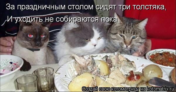 Котоматрица: За праздничным столом сидят три толстяка, И уходить не собираются пока