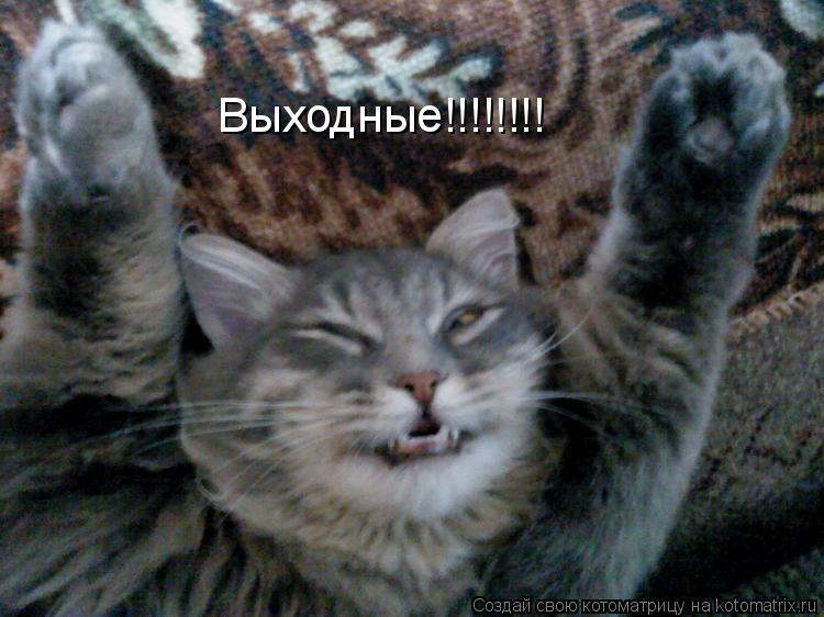 Котоматрица: Выходные!!!!!!!!