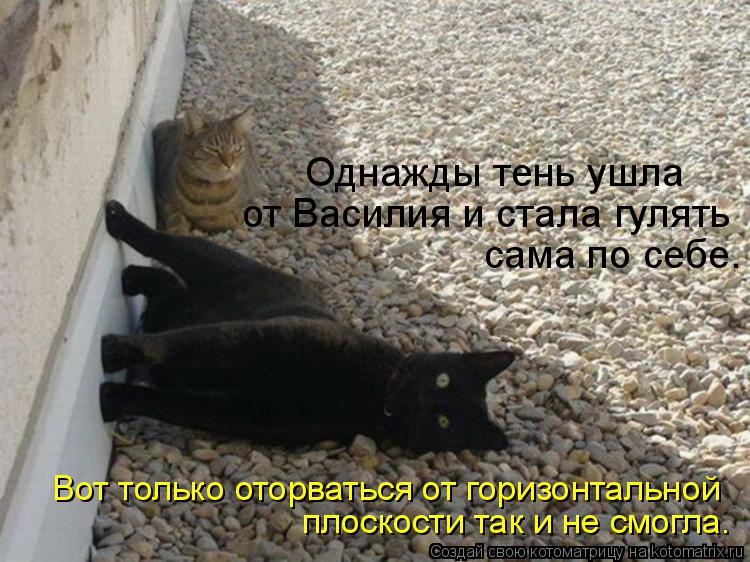 Котоматрица: плоскости так и не смогла. Вот только оторваться от горизонтальной Однажды тень ушла  от Василия и стала гулять  сама по себе.