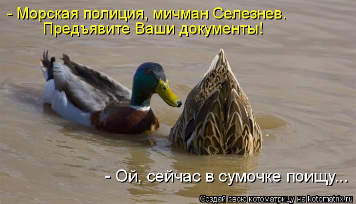 - Морская полиция, мичман Селезнев. Предъявите Ваши документы! - Ой, сейчас в сумочке поищу...... Котоматрица: - Морская полиция, мичман Селезнев. Предъявите Ваши документы! - Ой, сейчас в сумочке поищу...