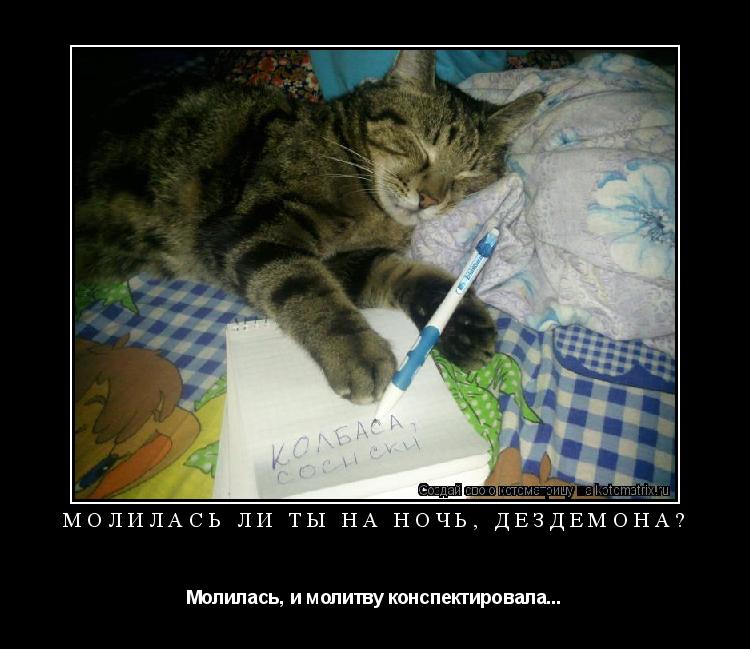 Котоматрица: Молилась ли ты на ночь, Дездемона? Молилась, и молитву конспектировала...