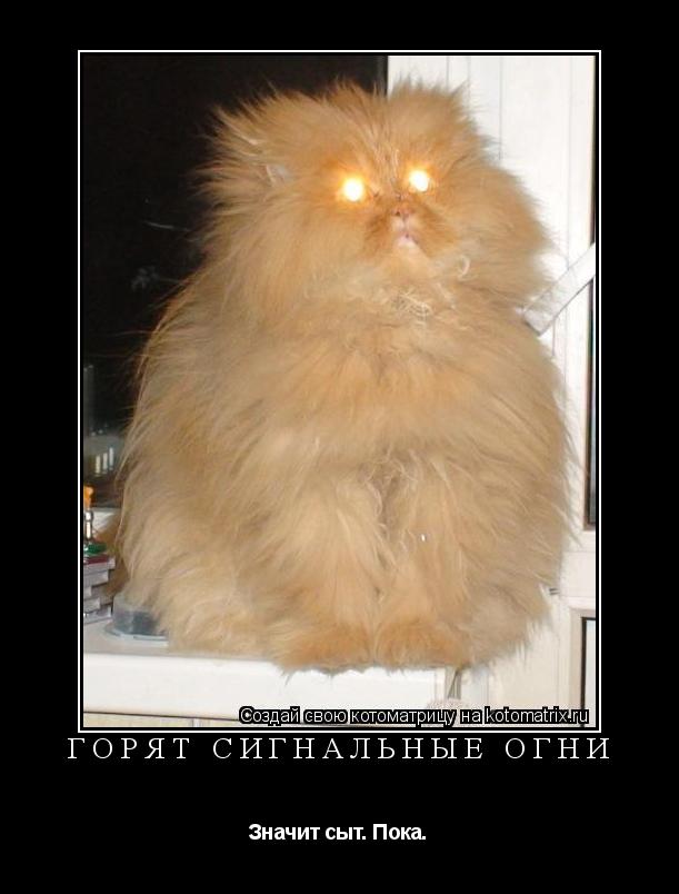Горят сигнальные огни Значит сыт. Пока.... Котоматрица: Горят сигнальные огни Значит сыт. Пока.