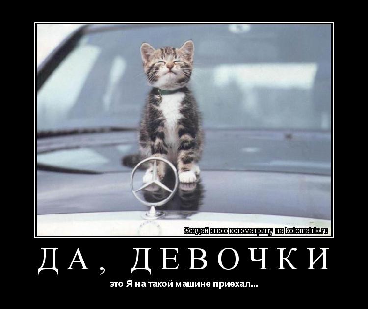 Котоматрица: Да, девочки это Я на такой машине приехал...