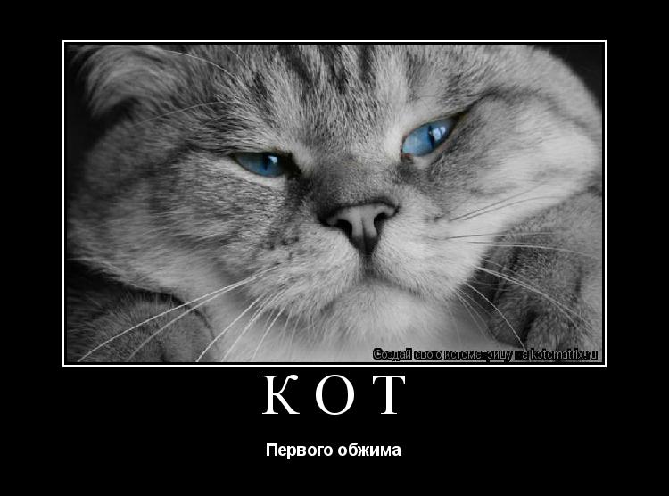Котоматрица: КОТ Первого обжима