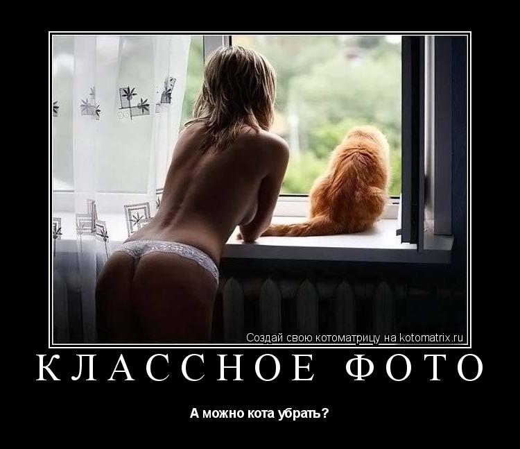 Котоматрица: Классное фото А можно кота убрать?