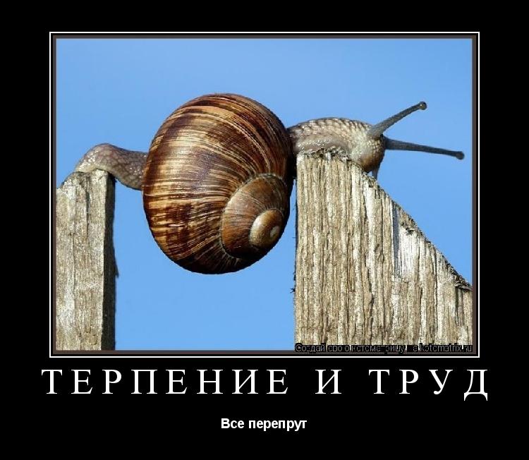 Котоматрица: Терпение и труд Все перепрут