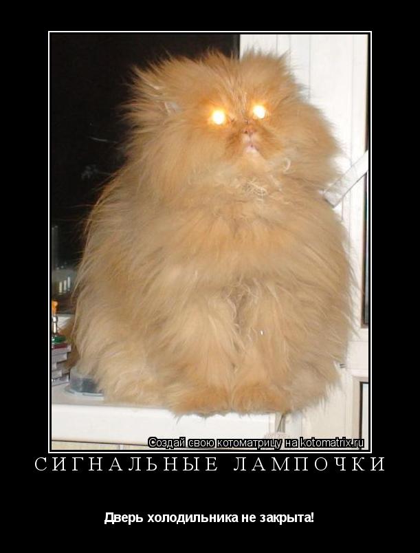 Котоматрица: Сигнальные лампочки Дверь холодильника не закрыта!