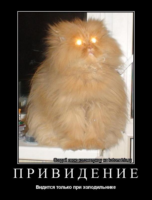 Котоматрица: Привидение Видится только при холодильнике