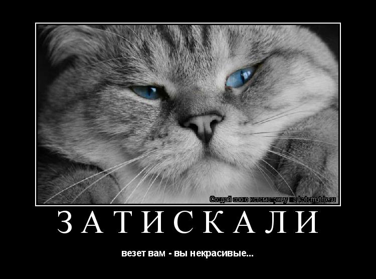 Котоматрица: затискали везет вам - вы некрасивые...