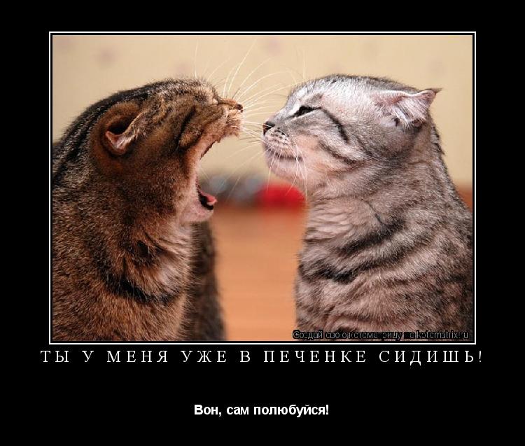 Котоматрица: Ты у меня уже в печенке сидишь! Вон, сам полюбуйся!