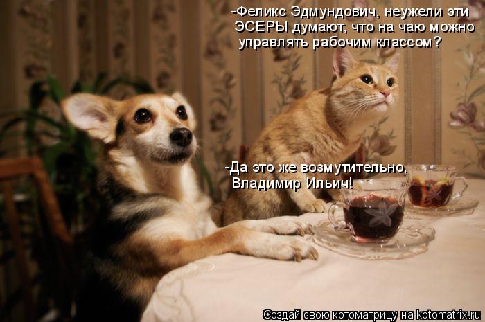 Котоматрица: -Феликс Эдмундович, неужели эти  ЭСЕРЫ думают, что на чаю можно  управлять рабочим классом? -Да это же возмутительно,  Владимир Ильич!