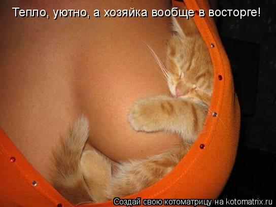 Котоматрица: Тепло, уютно, а хозяйка вообще в восторге!