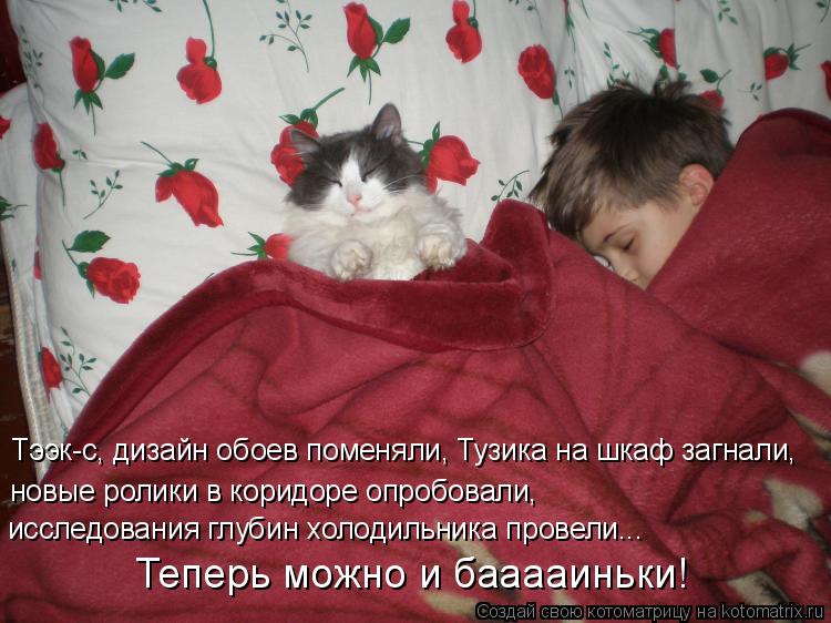 Котоматрица: Тээк-с, дизайн обоев поменяли, Тузика на шкаф загнали, новые ролики в коридоре опробовали, исследования глубин холодильника провели... Тепер