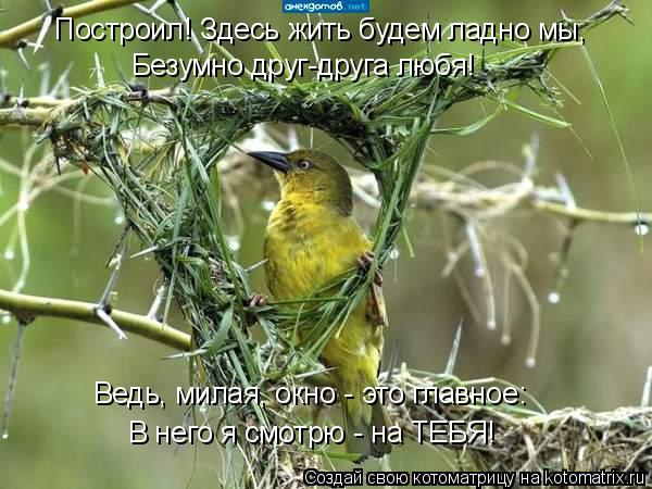 Котоматрица: Построил! Здесь жить будем ладно мы, Безумно друг-друга любя! Ведь, милая, окно - это главное: В него я смотрю - на ТЕБЯ!