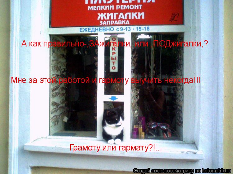 Котоматрица: А как правильно-,ЗАжигалки, или ,ПОДжигалки,? Мне за этой работой и гармоту выучить некогда!!! Грамоту или гармату?!...
