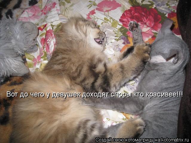 Котоматрица: Вот до чего у девушек доходят споры кто красивее!!!