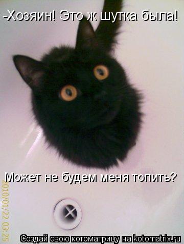 Котоматрица: -Хозяин! Это ж шутка была! Может не будем меня топить?