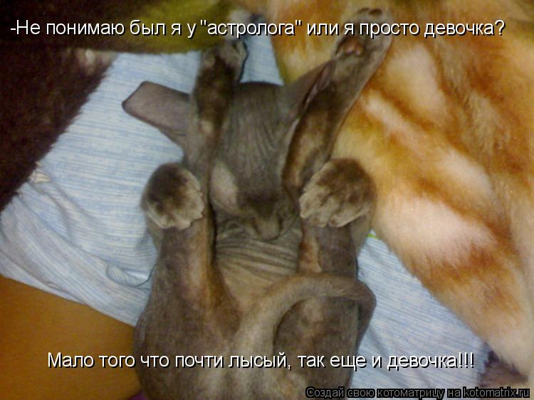 Котоматрица: -Не понимаю был я у "астролога" или я просто девочка? Мало того что почти лысый, так еще и девочка!!!