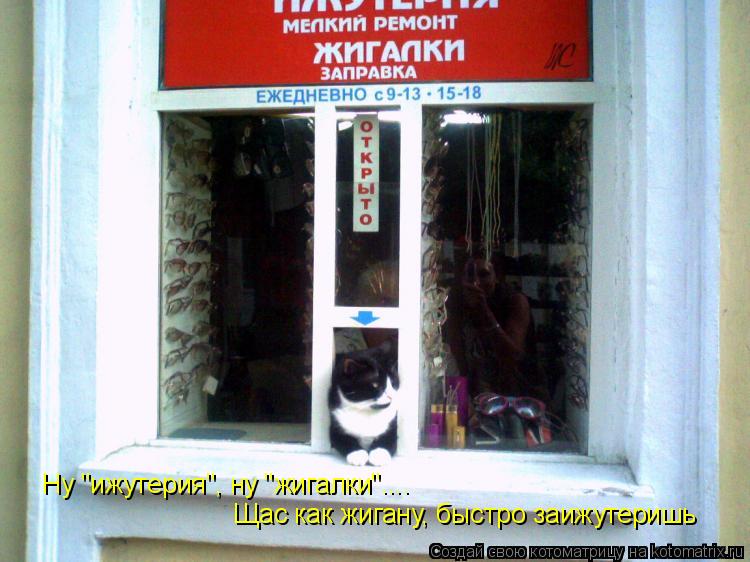 Котоматрица: Ну "ижутерия", ну "жигалки".... Щас как жигану, быстро заижутеришь