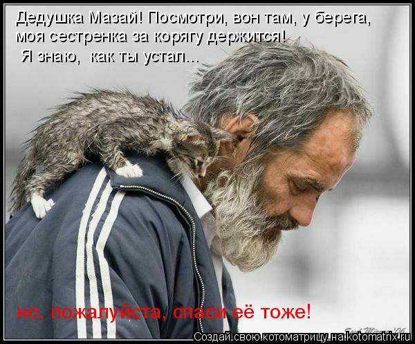 Котоматрица: Дедушка Мазай! Посмотри, вон там, у берега,  моя сестренка за корягу держится!  Я знаю,  как ты устал...  но, пожалуйста, спаси её тоже!