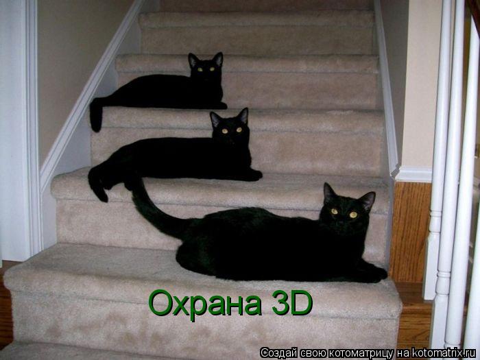 Котоматрица: Охрана 3D