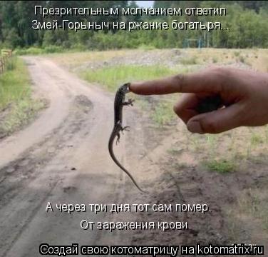 Котоматрица: Презрительным молчанием ответил  Змей-Горыныч на ржание богатыря...  А через три дня тот сам помер.  От заражения крови.