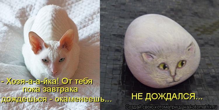 Котоматрица: - Хозя-а-а-йка! От тебя пока завтрака  дождешься - окаменеешь... НЕ ДОЖДАЛСЯ...