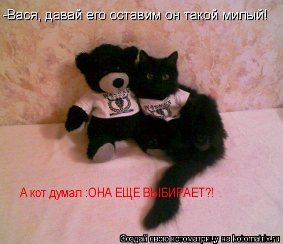 Котоматрица: -Вася, давай его оставим он такой милый! А кот думал :ОНА ЕЩЕ ВЫБИРАЕТ?!