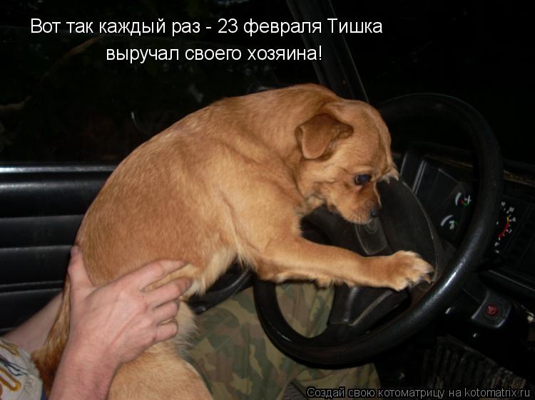 Котоматрица: Вот так каждый раз - 23 февраля Тишка выручал своего хозяина!