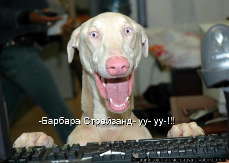 Котоматрица: -Барбара Стрейзанд- уу- уу-!!!
