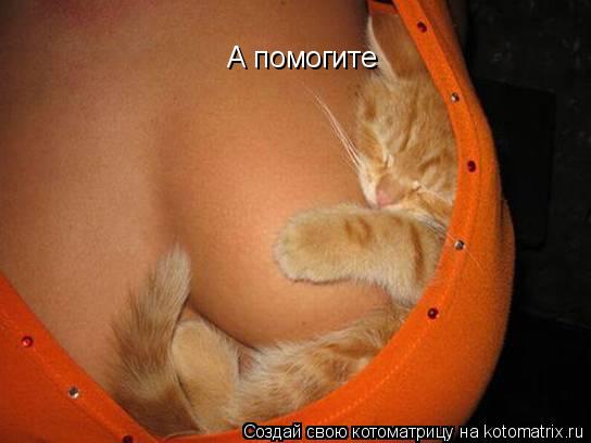 Котоматрица: А помогите