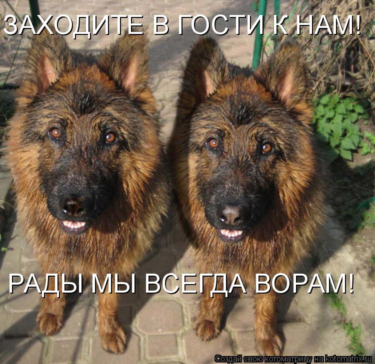 Котоматрица: ЗАХОДИТЕ В ГОСТИ К НАМ! РАДЫ МЫ ВСЕГДА ВОРАМ!