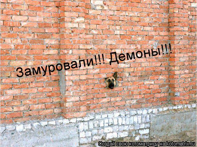 Котоматрица: Замуровали!!! Демоны!!!