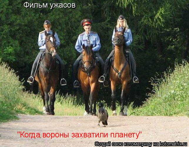 Котоматрица: Фильм ужасов "Когда вороны захватили планету"