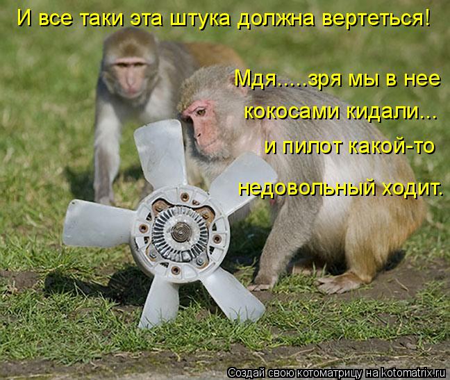 Котоматрица: И все таки эта штука должна вертеться! Мдя.....зря мы в нее  кокосами кидали... и пилот какой-то  недовольный ходит.