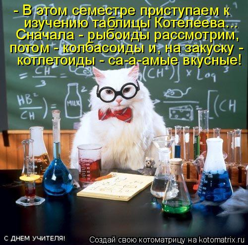 Котоматрица: - В этом семестре приступаем к изучению таблицы Котелеева... Сначала - рыбоиды рассмотрим, потом - колбасоиды и, на закуску -  котлетоиды - са-а-